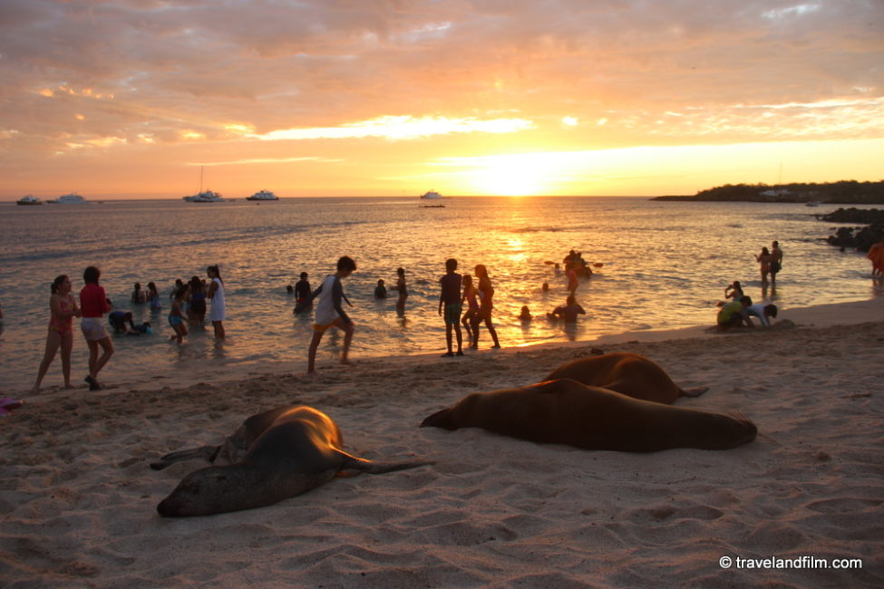 playa-mann-galapagos-sunset
