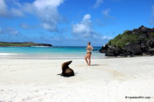 Visiter San Cristobal aux Galapagos, l’île des otaries