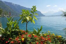 Explorer la Riviera Suisse de Lausanne à Montreux le long du lac Leman
