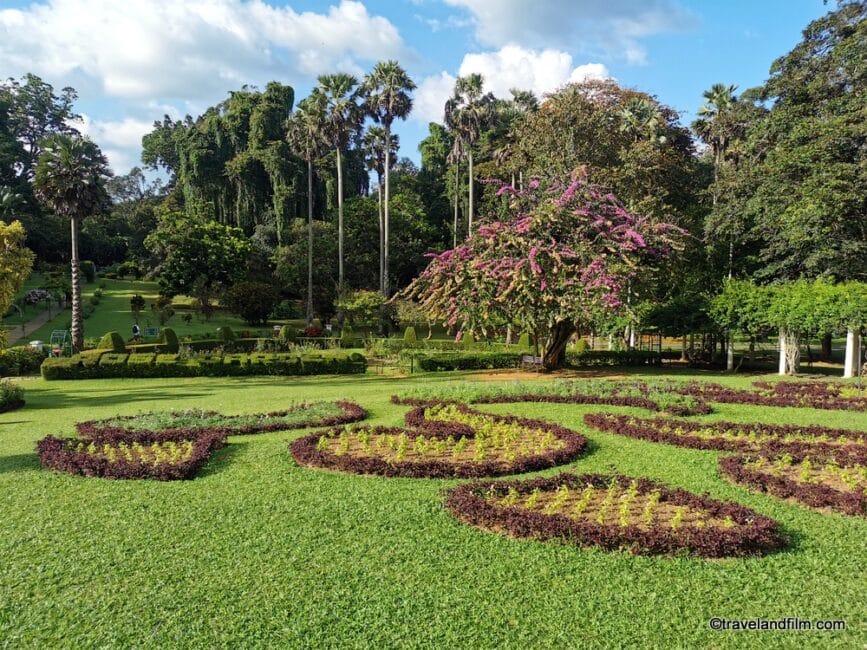 jardin-botannique-peradeniya-kandy