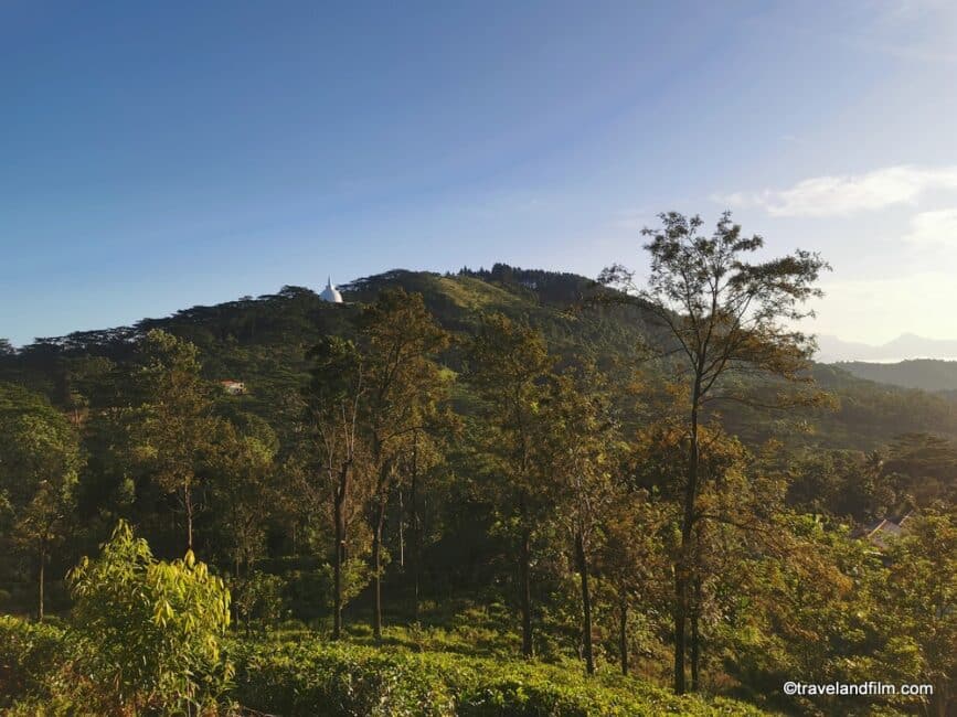 paysage-sri-lanka-pekoe-trail