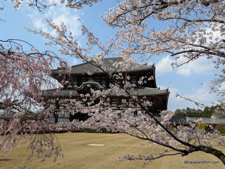 japon-nara