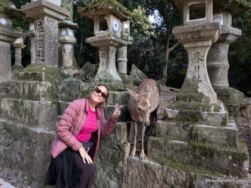 nara-japon-biche