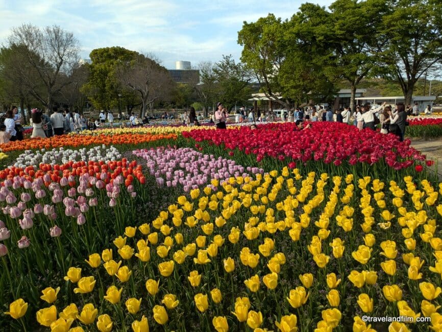 printemps-japon