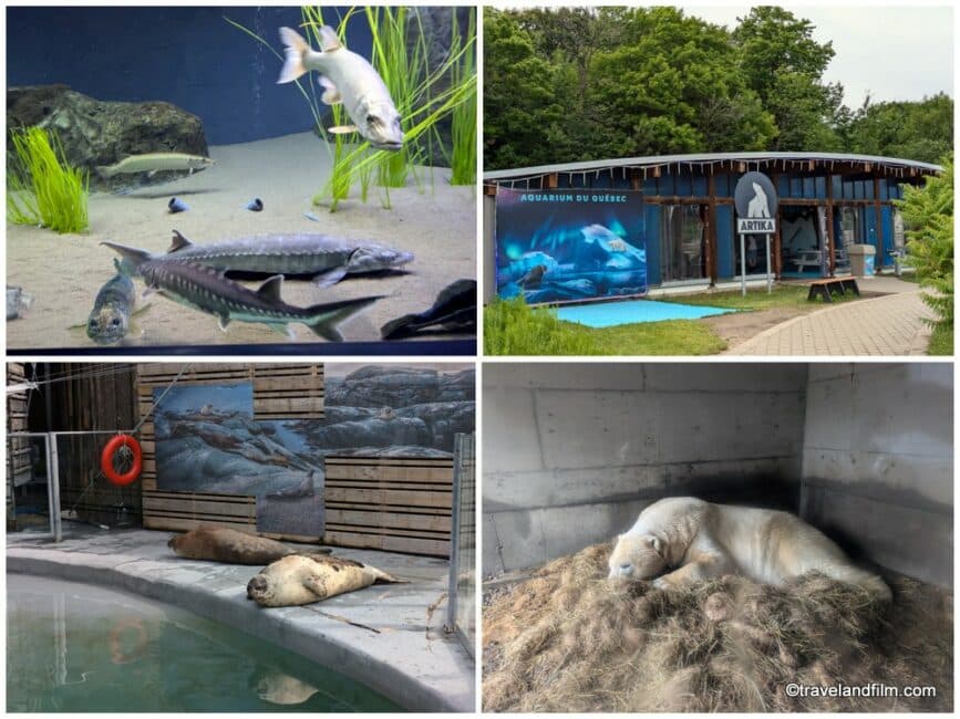 zoo-quebec