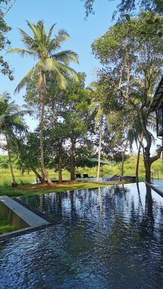 Ça vous dirait de passer la nuit dans un bel hôtel boutique écologique de luxe en plein nature ? Voici @warakaudawalawebythema dans le parc national de Udawalawe au Sri Lanka.
.
.
.
.
.
.
.
.
.
.
.
.
.
.
#slbloggers #destinationsrilanka #youwillcomebackformore #youllcomebackformore  #visitsrilanka #collaborationcommerciale